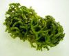 Nutritional Characteristics and the Effects of the Seaweeds