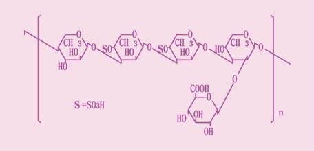 фукоидан - химическая формула