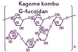 G-fucoidan