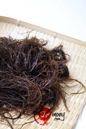 沖繩特產褐藻——海蘊 沖繩特產褐藻——海蘊