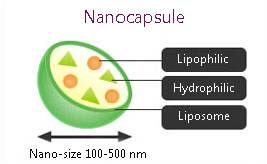 nanocapsule