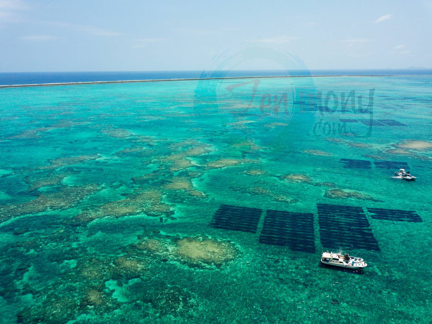 mozuku fields from above