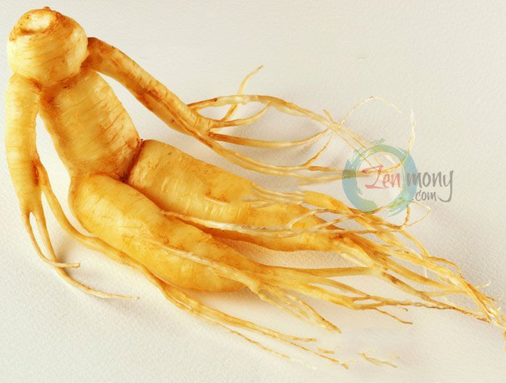 Koraininjin Panax Ginseng