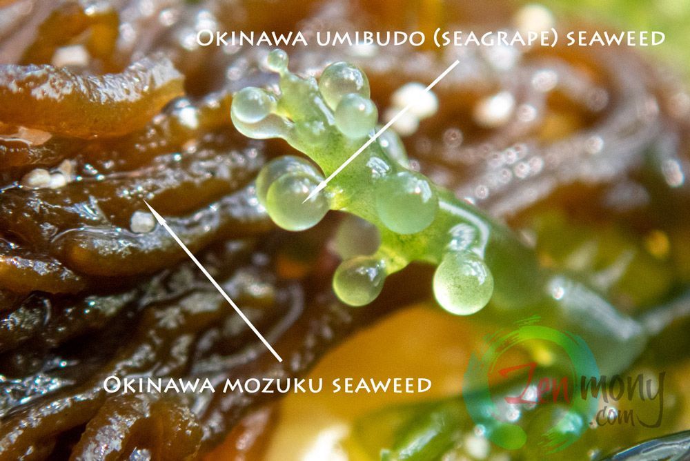 Okinawa Mozuku and Okinawa Umibudo (seagrape) a seaweeds