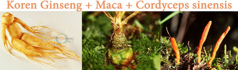 Korean Ginseng, Maca, Cordyceps sinensis