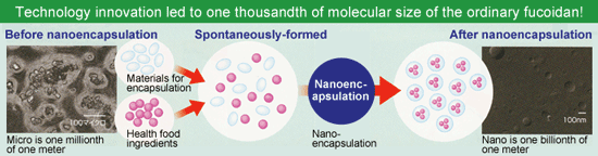 nano fucoidan