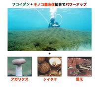 Extrait liquide - Okinawa-No-Fucoidan Alpha_1