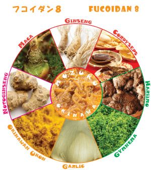 Fucoidan 8 (Okinawa Mozuku Fucoidan Plus Eight Herbal Components)