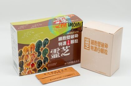 複合桑黃菌MD