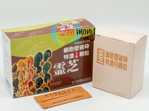 复合桑黄菌MD