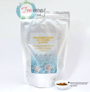 Wholesale Fucoidan in Powder Bulk (500 gram)