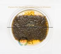 Субтропическая водоросль мозуку (модзуку) Окинава 100г_3