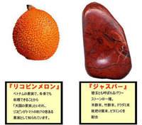 Lycopene melon sole sheets_2